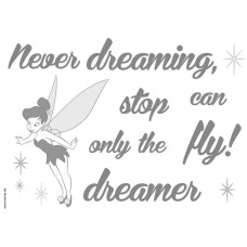 14001 Never stop dreaming
